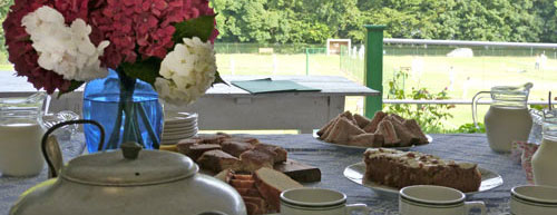 argideen lawn tennis club