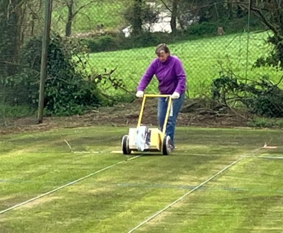 Freda Lining the Courts